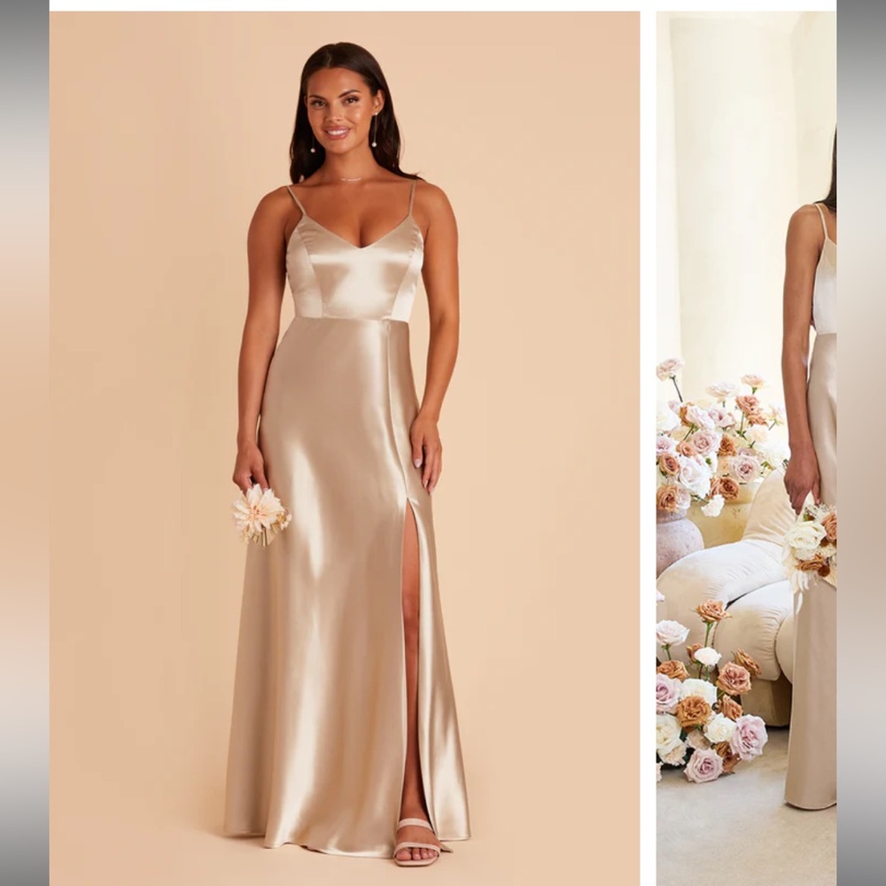 Birdy Grey Jay Dress Shiny Satin Neutral Champagne